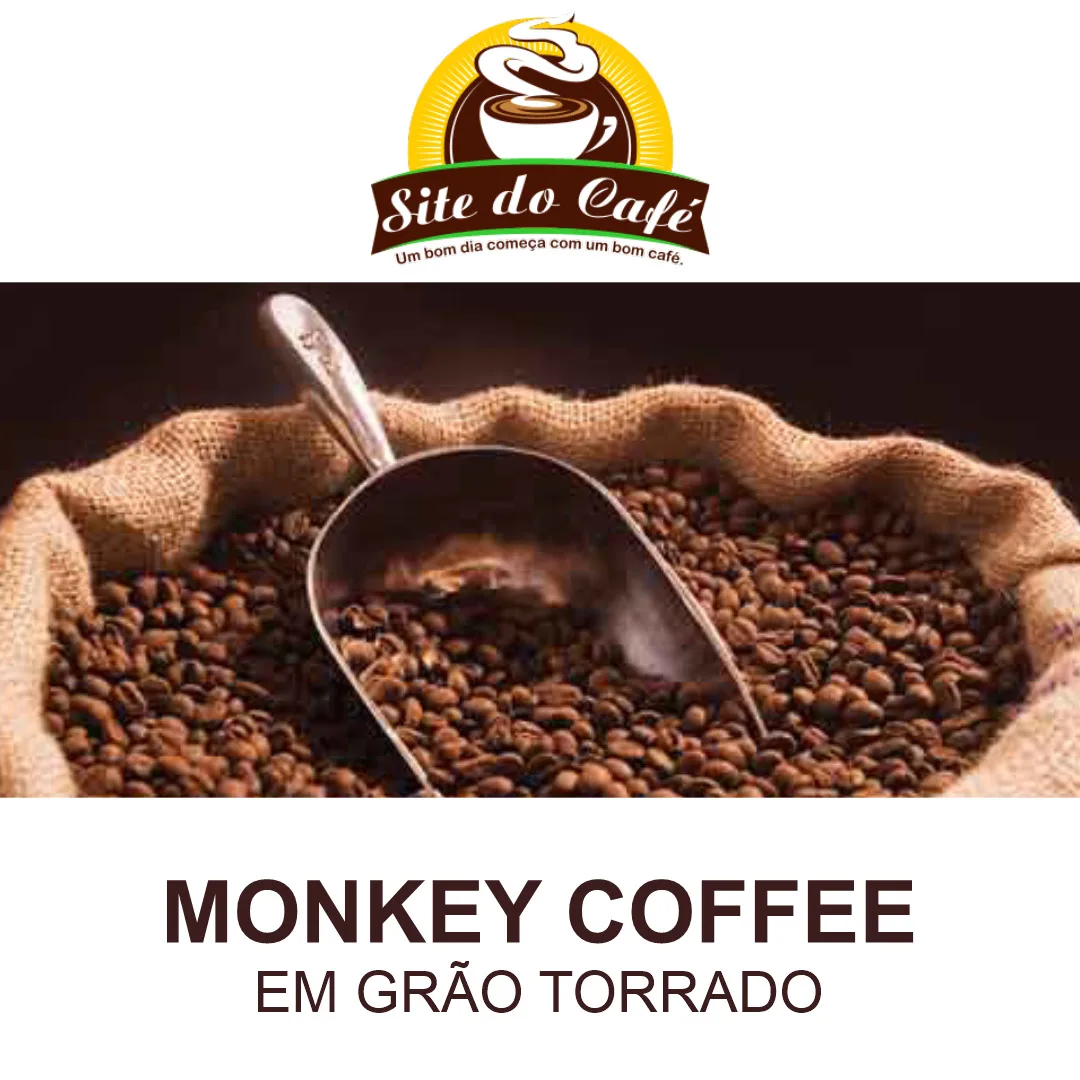 MONKEY COFFEE - Image 2