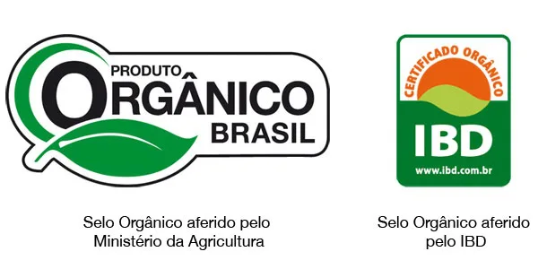 MEL DE ABELHA - FLORADA DE LARANJEIRA - Image 2
