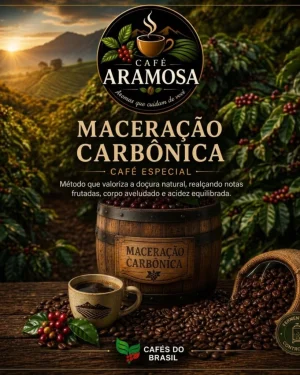 Café Aramosa Maceração Carbônica